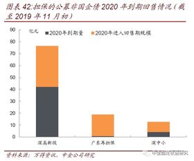 透過城投與非國企債擔保，解析專業擔保公司信用風險跟蹤